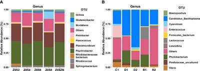 Microbial communities associated with Zoea-2 syndrome and White feces syndrome in P. vannamei farming